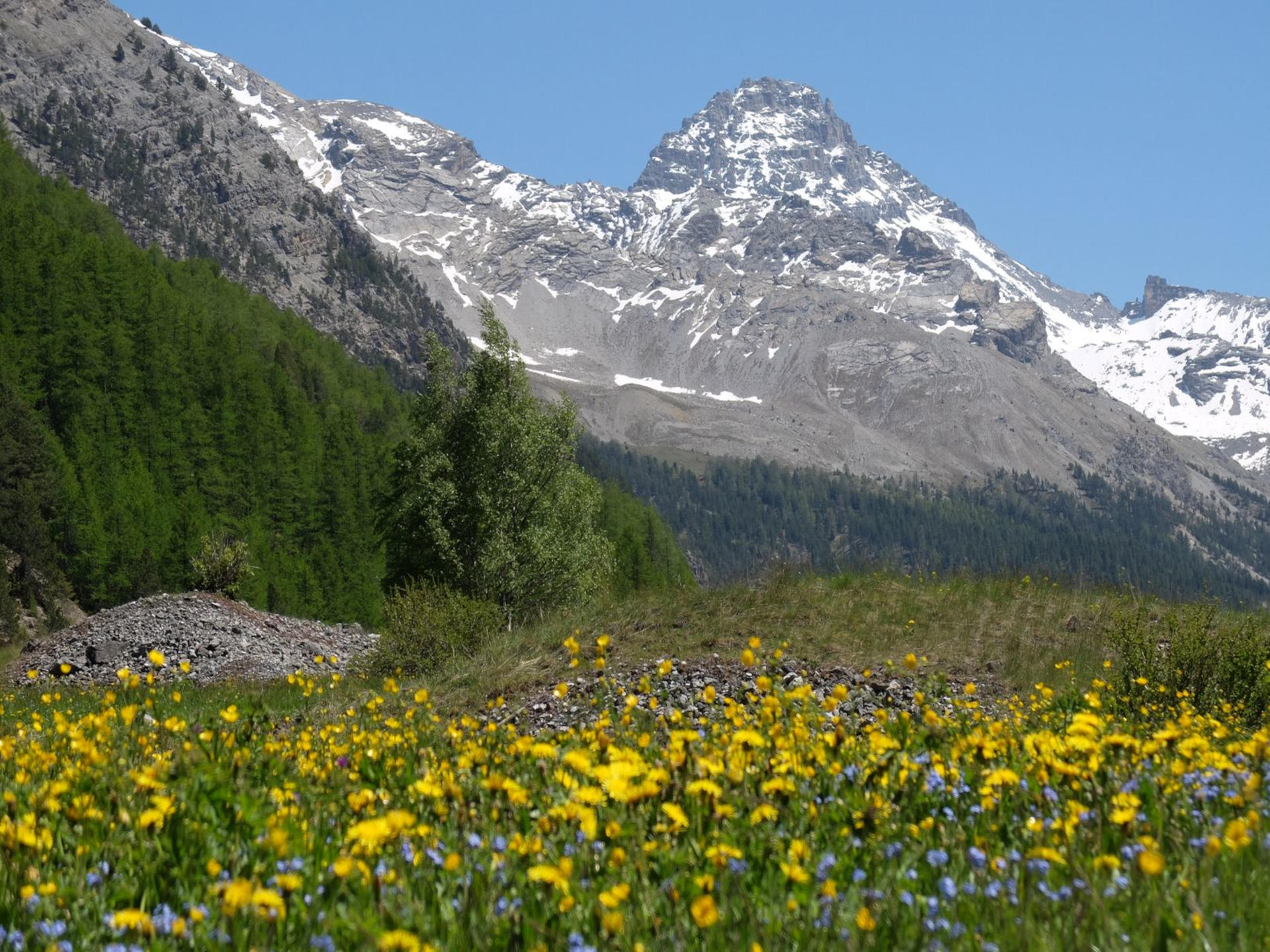 Grand tour du Pic de Rochebrune à pied : /